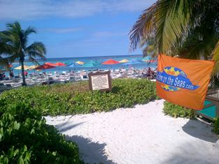 Beach with flag